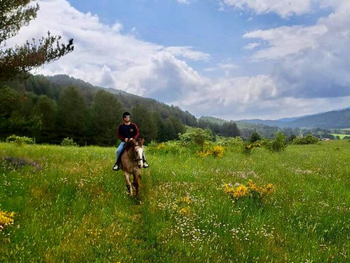 camminate a cavallo sila