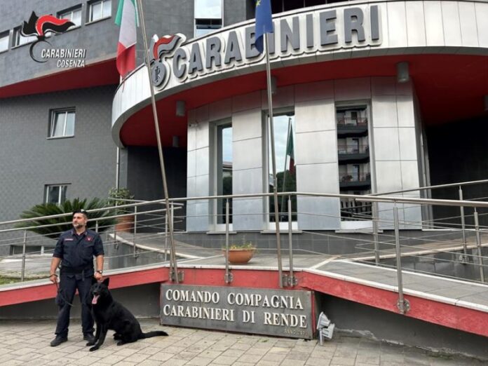arresto nel pane droga