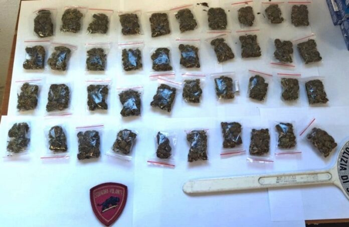 marijuana crotone