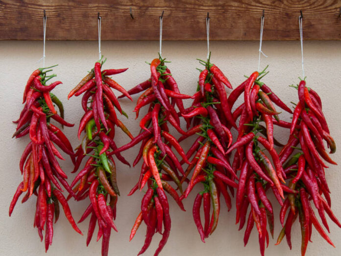 peperoncino diamante