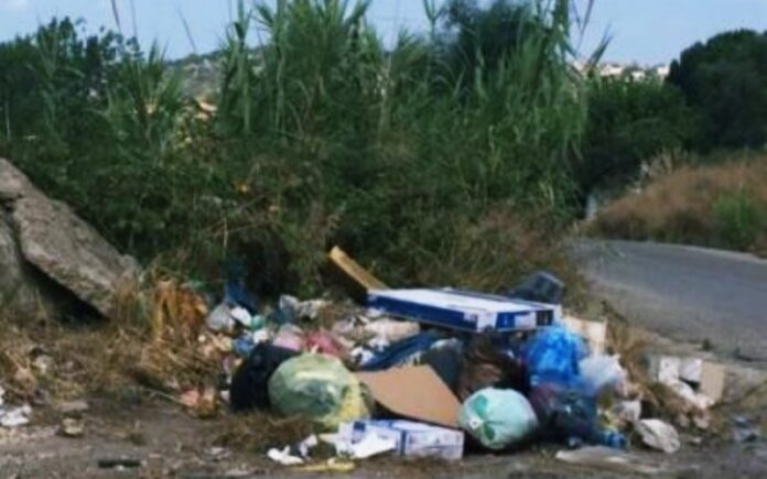 spazzatura sterpaglie strade