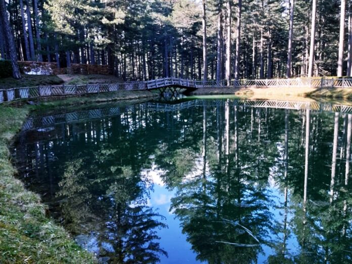 expo agricoltura villaggio mancuso sila