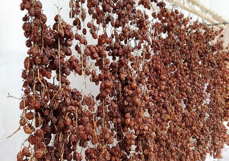 Filari di uva duraca di Verbicaro messi a essiccare al sole