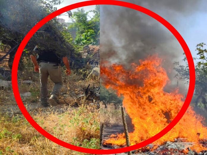 incendio
