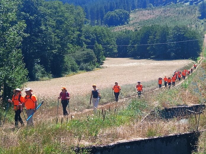camminare sila