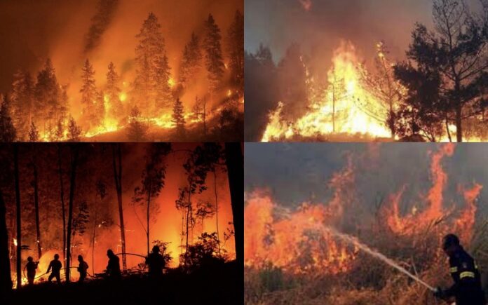 incendio aspromonte estate 2023