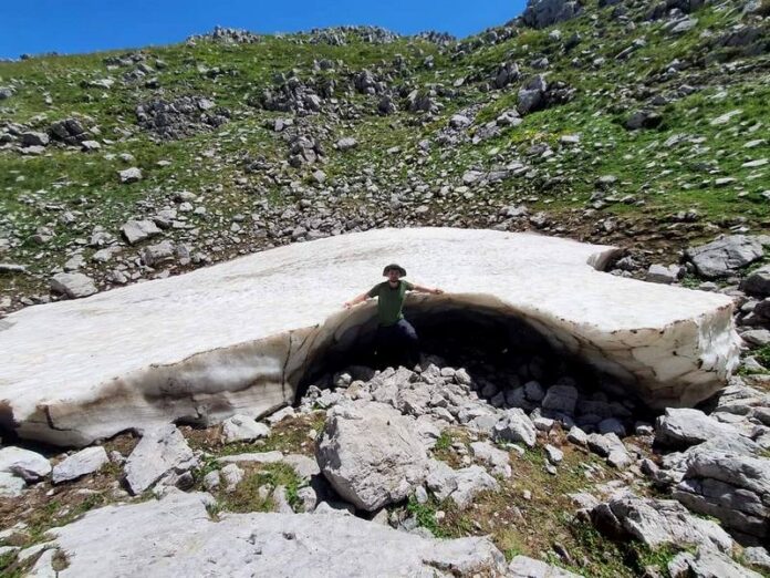 nevaio pollino