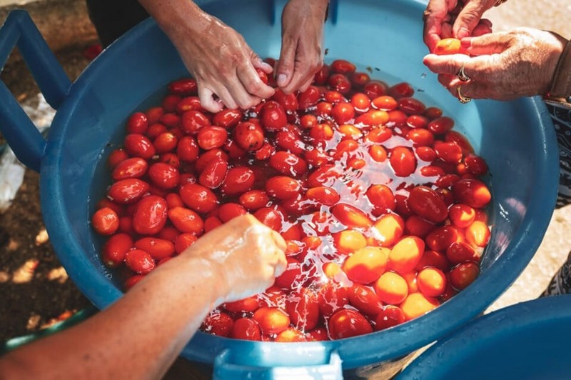 pomodori lavati per la salsa