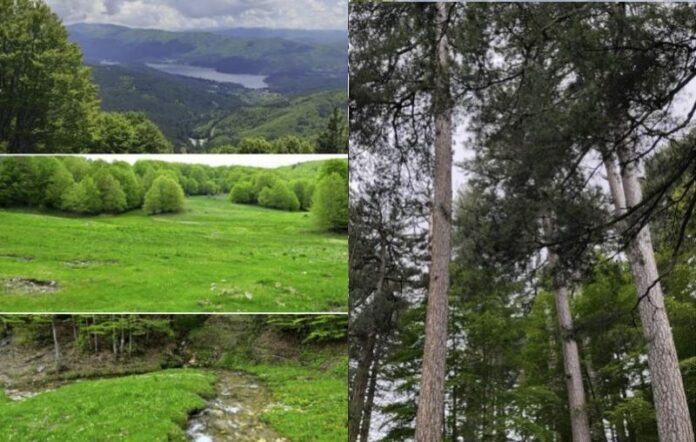 sentieri sila linea verde