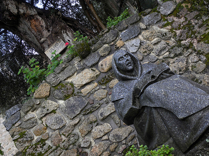 Ulivo del riposo San Bruno,