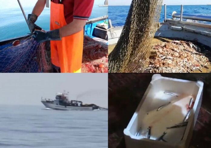 crisi pescatori italiani