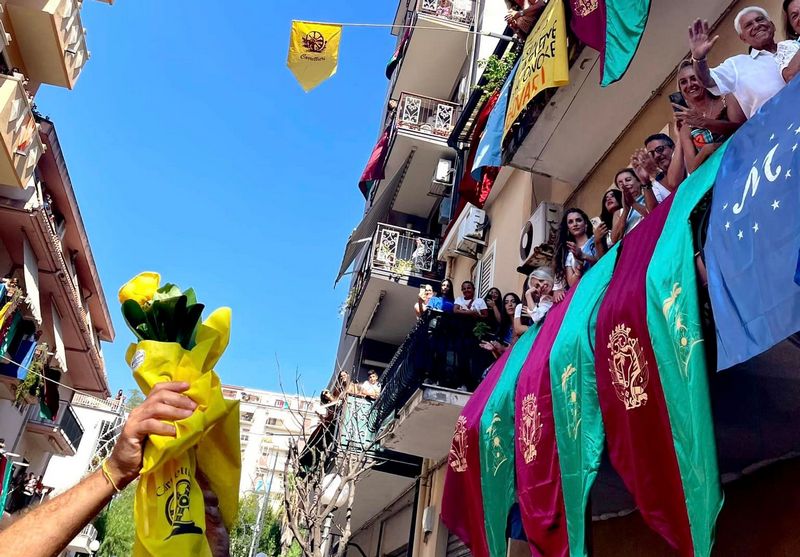 folla varia di palmi animella