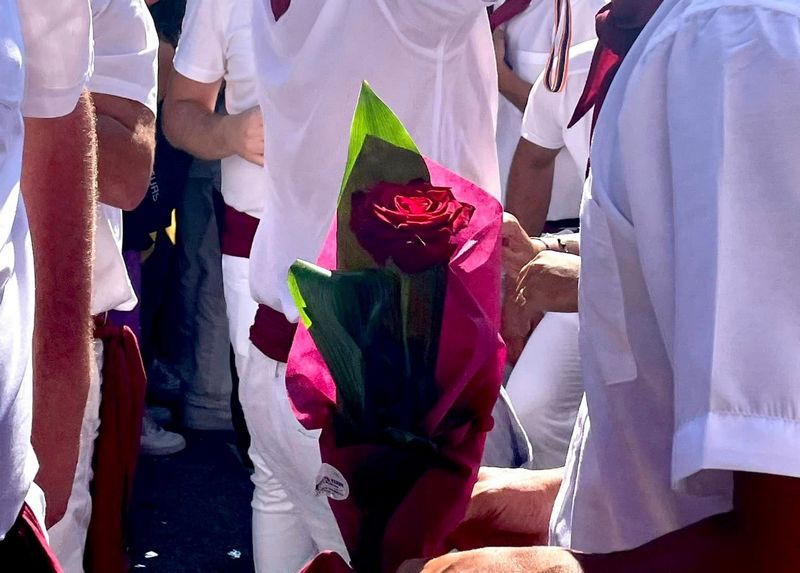 rosa varia di palmi