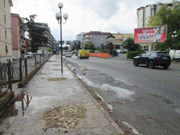 alberi tagliati rende