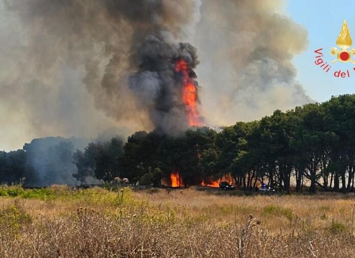 incendio isola capo rizzuto