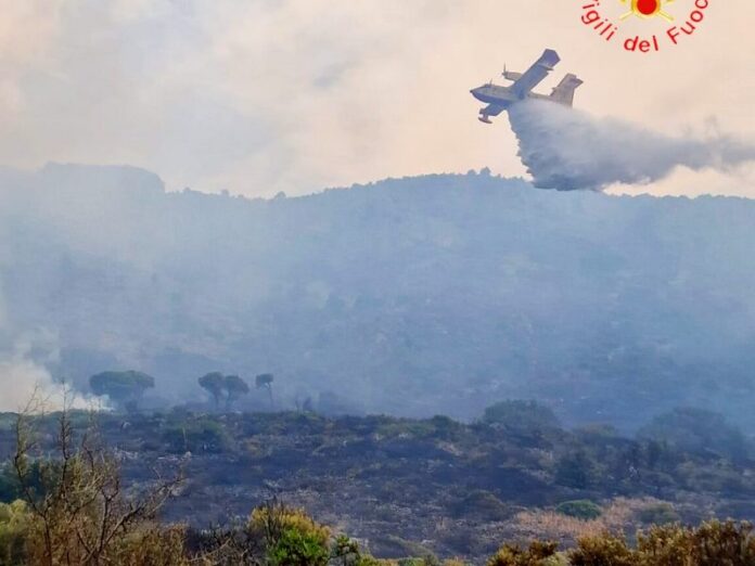 incendio pollino
