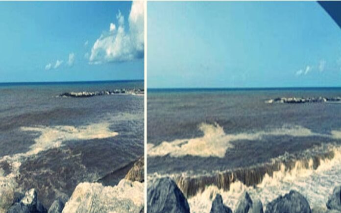 mare inquinato chiazze Paola