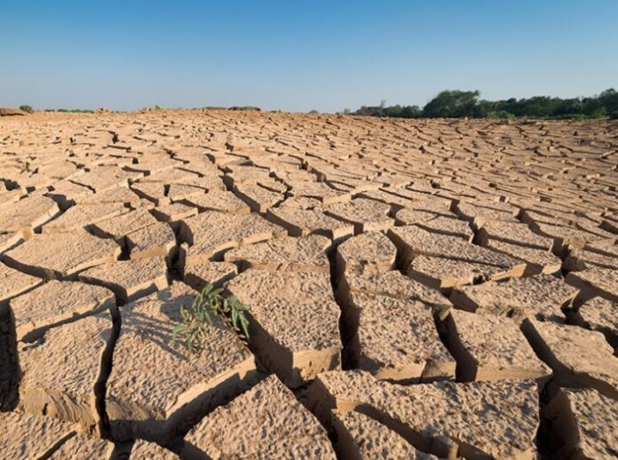 agricoltura a rischio