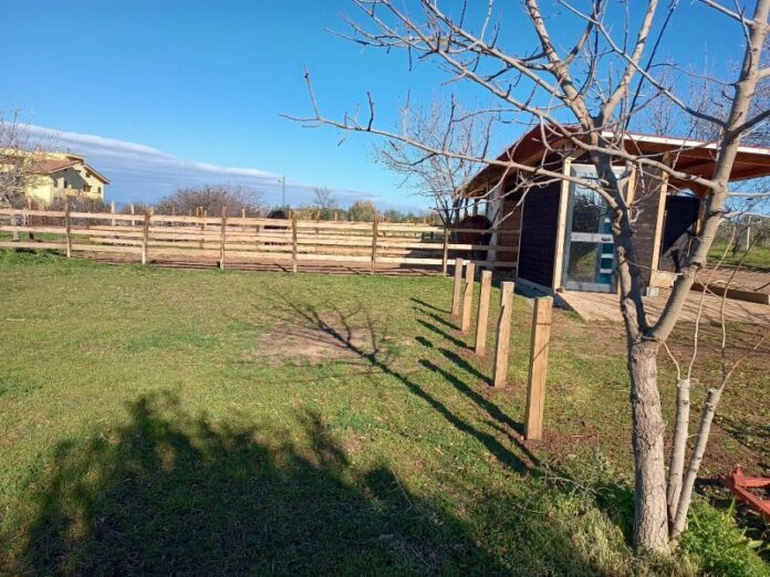 azienda agraria università reggio calabria