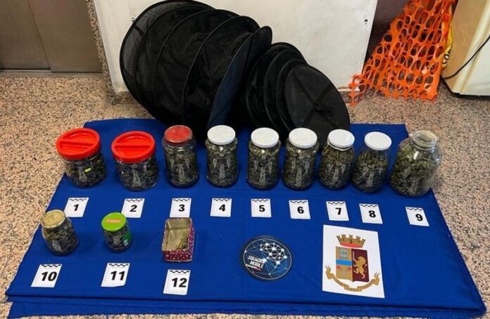 droga e armi cosenza