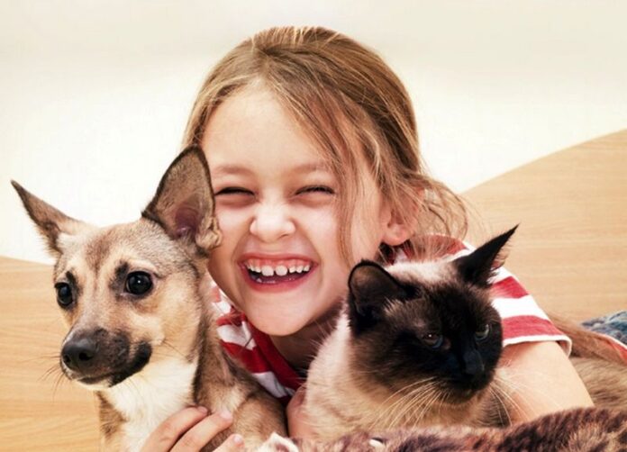 giornata mondiale animali