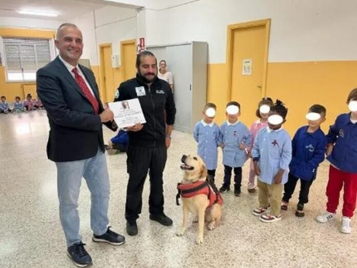 labrador scuola catanzaro