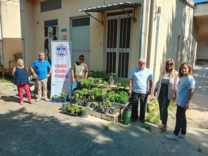 piantine anziani cosenza