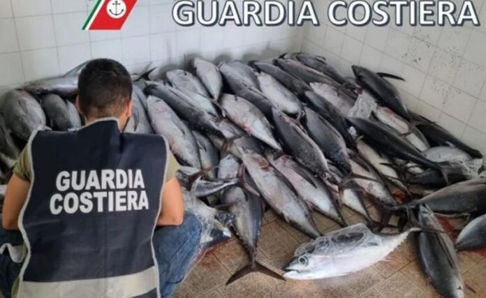 sequestro pesce crotone