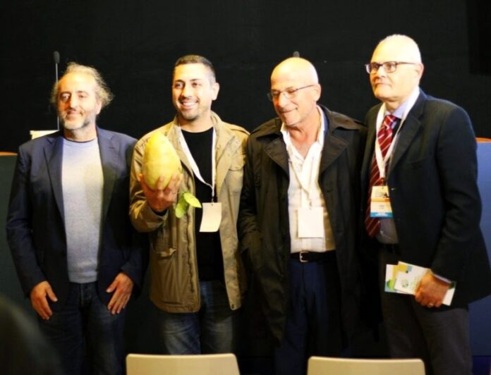 Consorzio del Cedro di Calabria alla Borsa Mediterranea del Turismo Archeologico