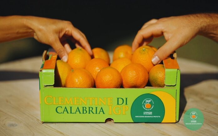 clementine igp calabria