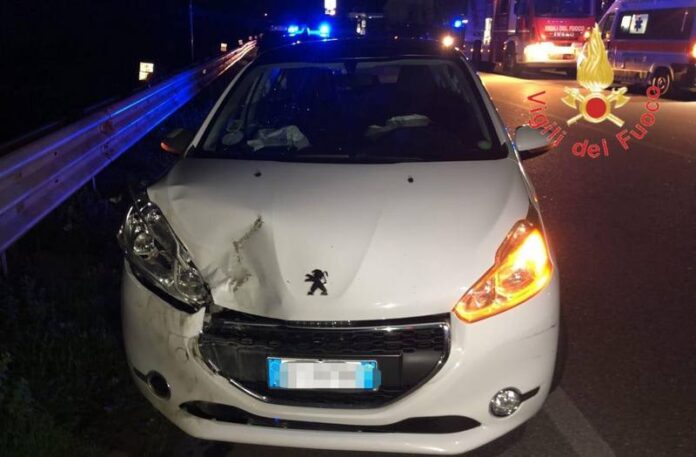 incidente cinghiale 106