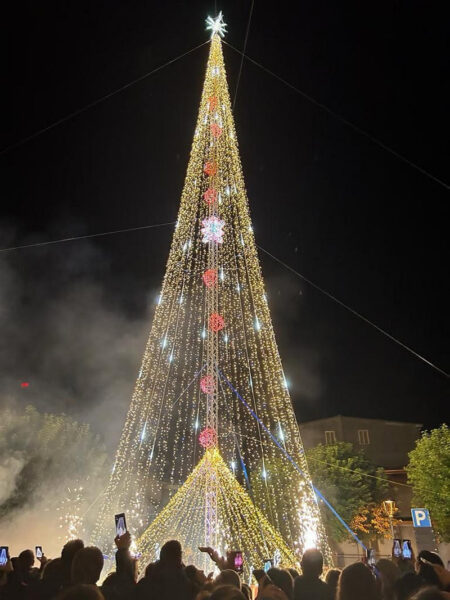 albero solidale roccabernarda