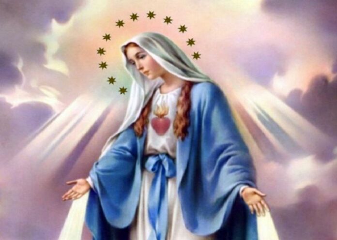 madonna immacolata