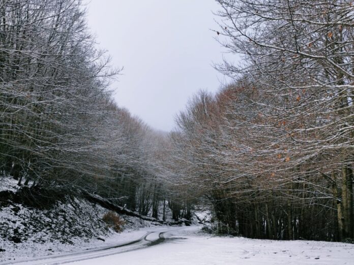 neve Sila