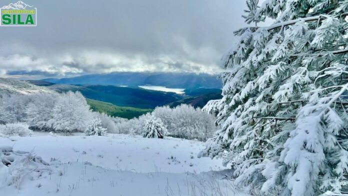 neve sila dicembre