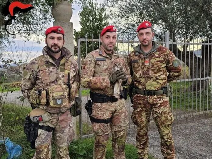 cacciatori carabinieri poiana