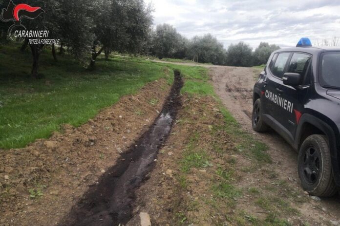 fiume residui terravecchia