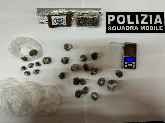 hashish e marijuana vibo