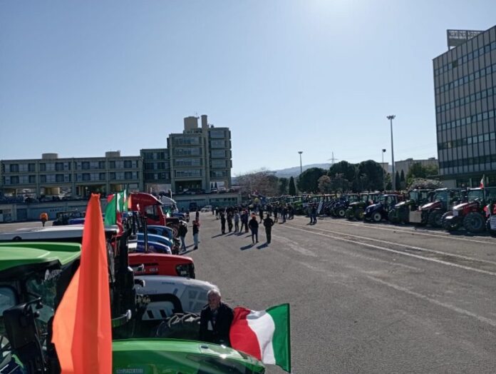 manifestazione protesta agricoltori cosenza