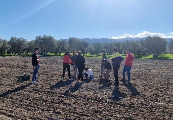 MAJORANA-VIGNETO (4)