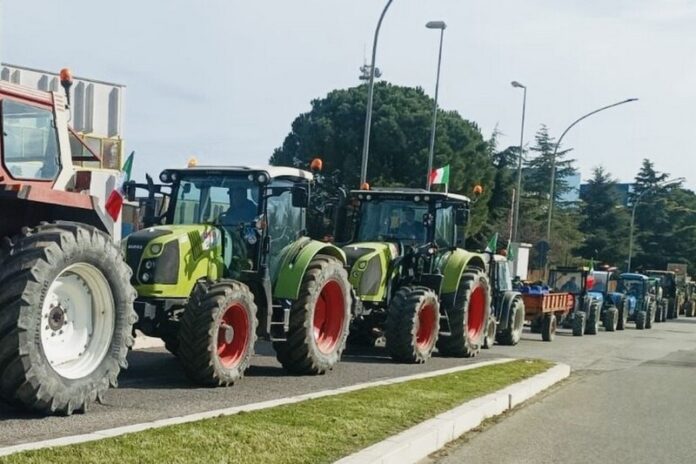 ansa protesta castrovillari trattori