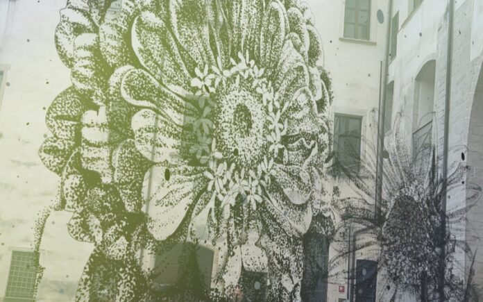 palazzo arnone luci di speranza