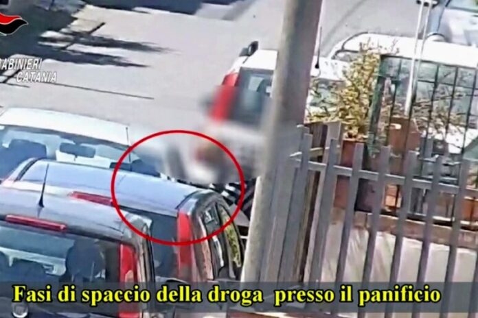spaccio cocaina forno