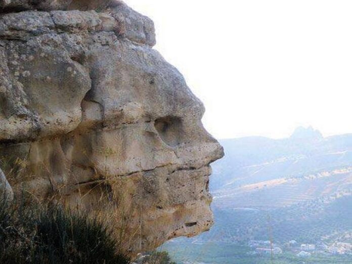 Faccia di Pietra di Prunella