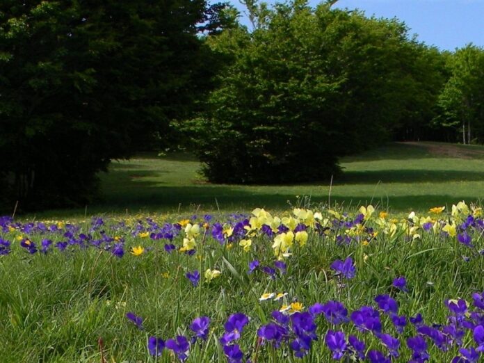 Sila- ph Viaggiare in Calabria - Le Vie della Perla