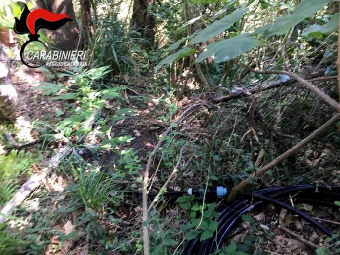 allaccio abusivo acqua terreno