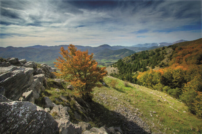 parco nazionale pollino