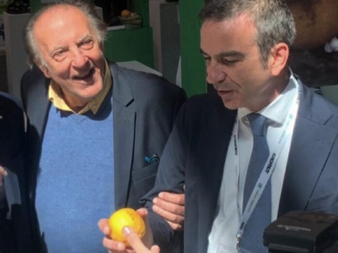 pizzi occhiuto bergamotto