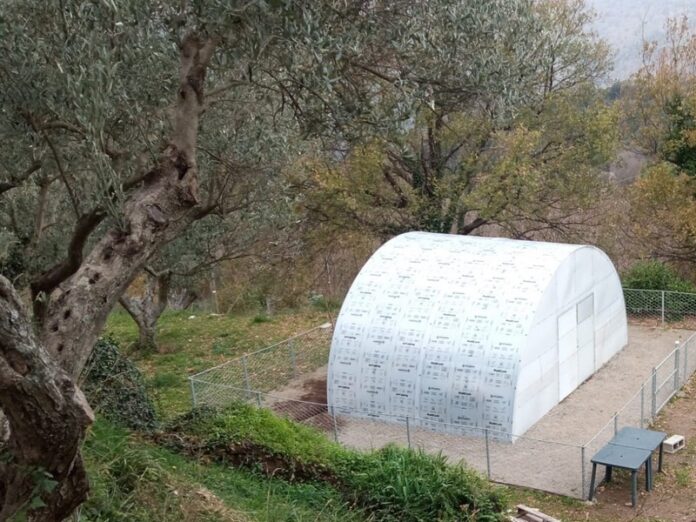 serra agricoltura