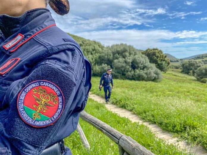 tutela forestale carabinieri
